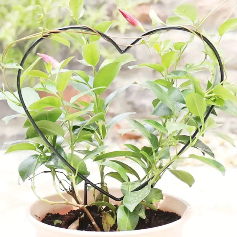 2-Pack: Heart-Shaped Plant Support Stake __stock:200 Garden & Patio refund_fee:800