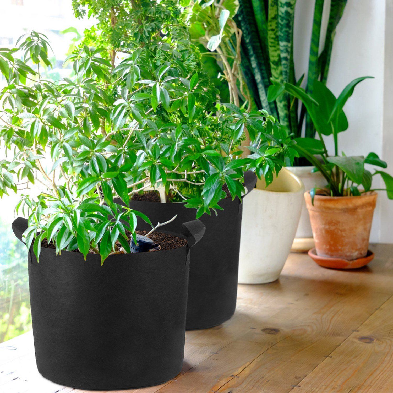 3-Pack: Planter Bags Breathable Planting Fabric Pots with Harvest Window __stock:50 Garden & Patio Low stock refund_fee:800