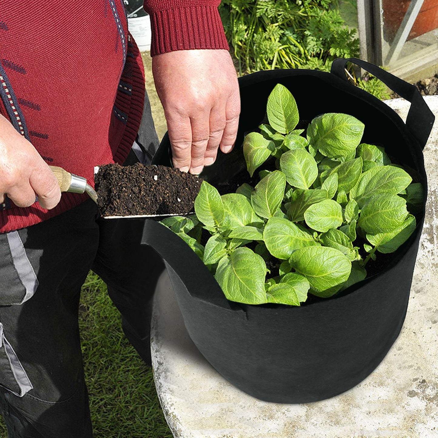 3-Pack: Planter Bags Breathable Planting Fabric Pots with Harvest Window __stock:50 Garden & Patio Low stock refund_fee:800