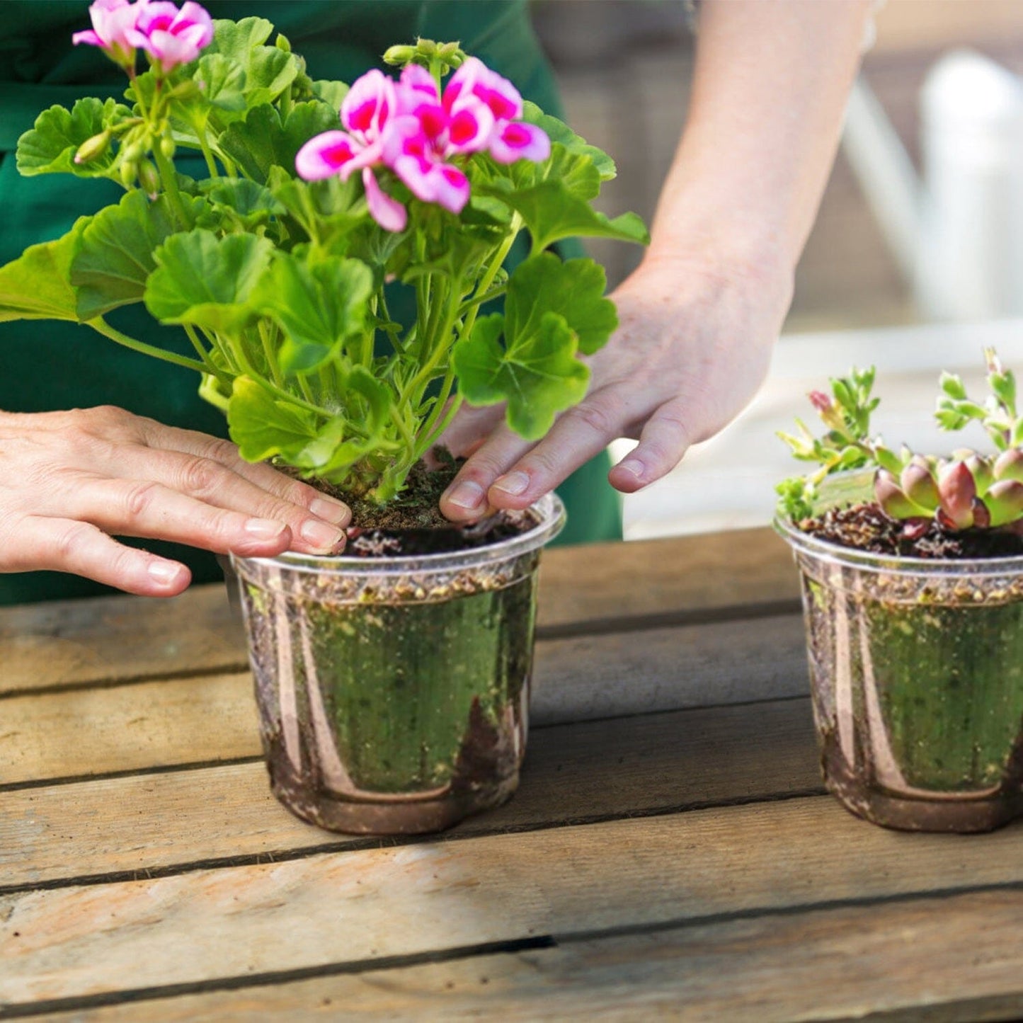 30-Pieces: Plant Nursery Pots PET Flower Seed Starting Pots Container with Dome Drainage Holes __stock:50 Garden & Patio refund_fee:1200