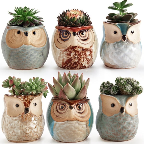 6-Pack: 2.5 Inch Owl Pot Ceramic Base __stock:200 Garden & Patio refund_fee:1200