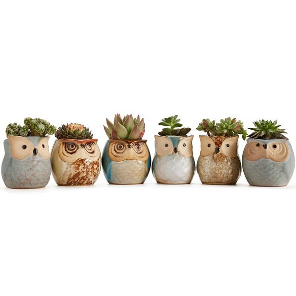 6-Pack: 2.5 Inch Owl Pot Ceramic Base __stock:200 Garden & Patio refund_fee:1200