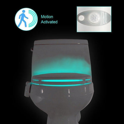 Hirundo 16-Color Motion Sensor LED Toilet Night Light bathroom smart home