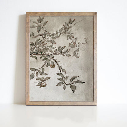 Vintage Apple Tree Branch Canvas Wall Art