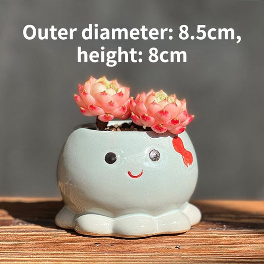 Small Octopus Mood Flowerpots