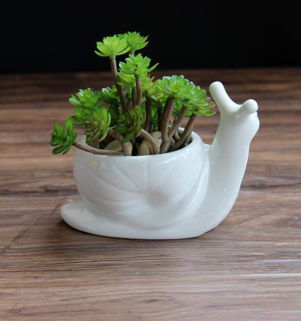 Snail Flower Pot