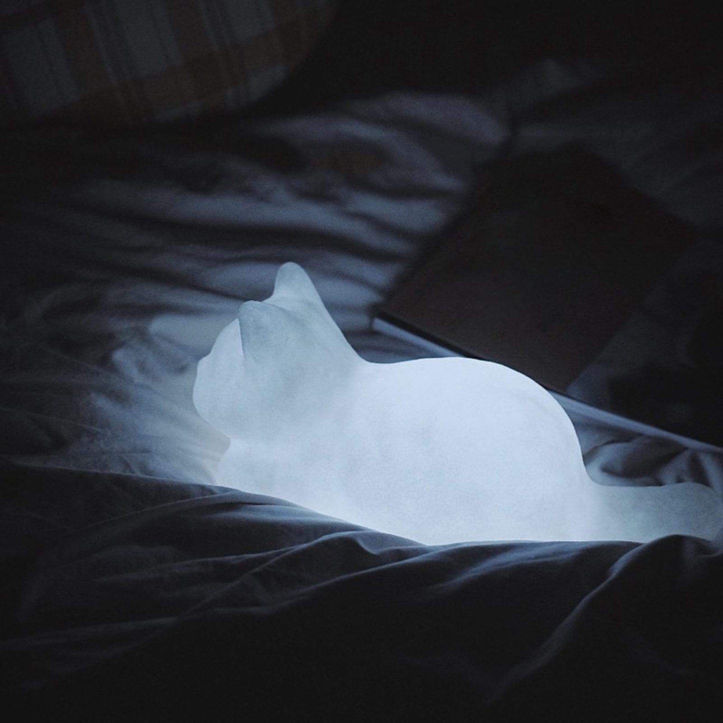 Soft Glow Cat Light cat glow illumination light soft