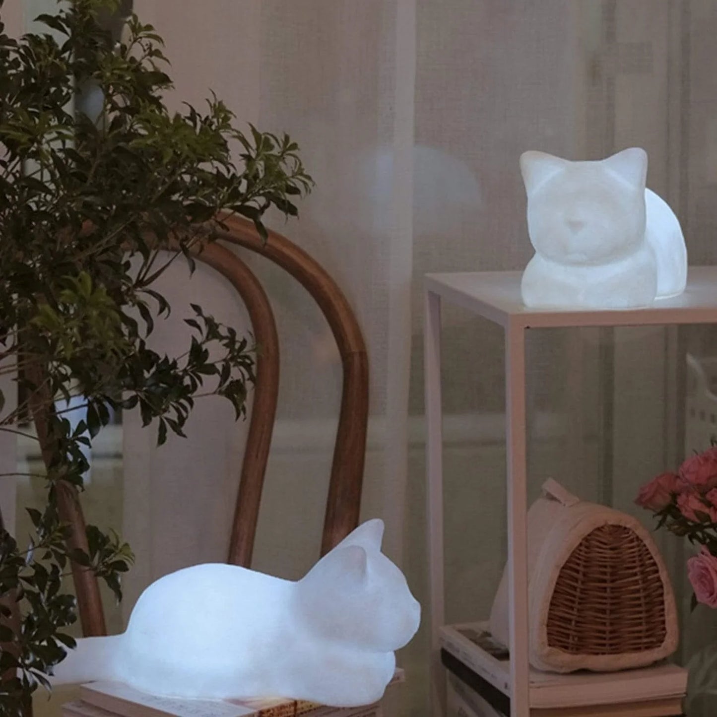 Soft Glow Cat Light cat glow illumination light soft