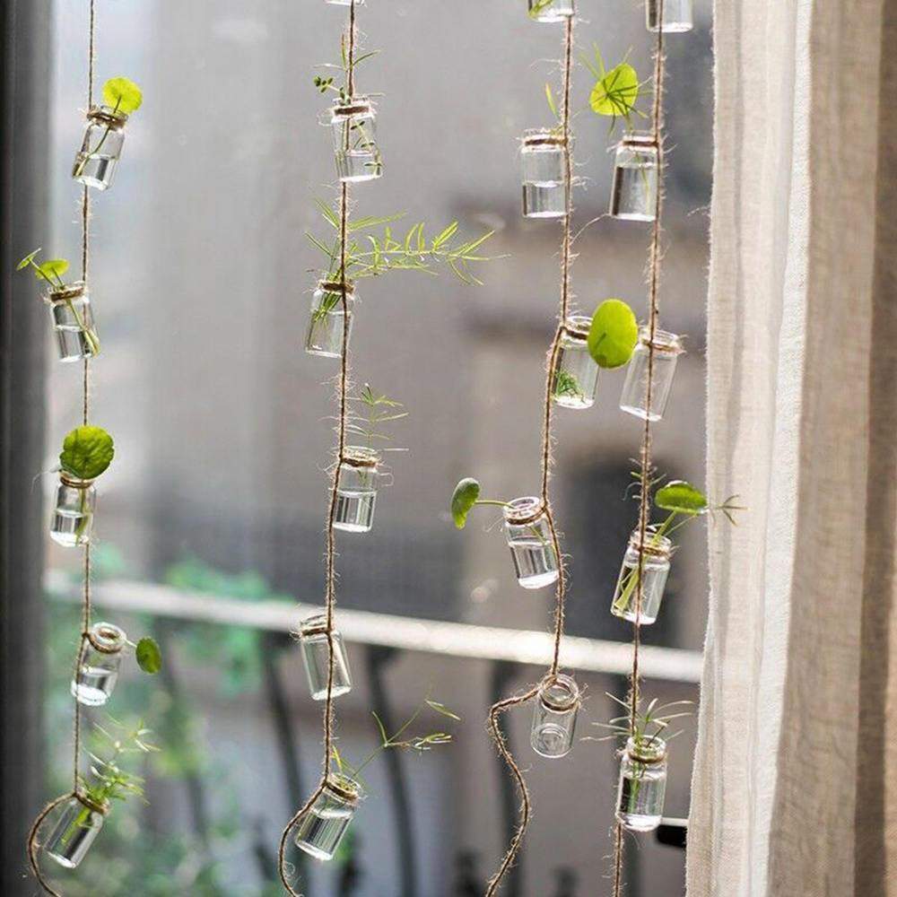 String Hanging Propagation Bottles