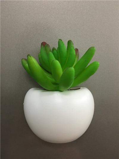 Succulent Plant Fridge Magnet