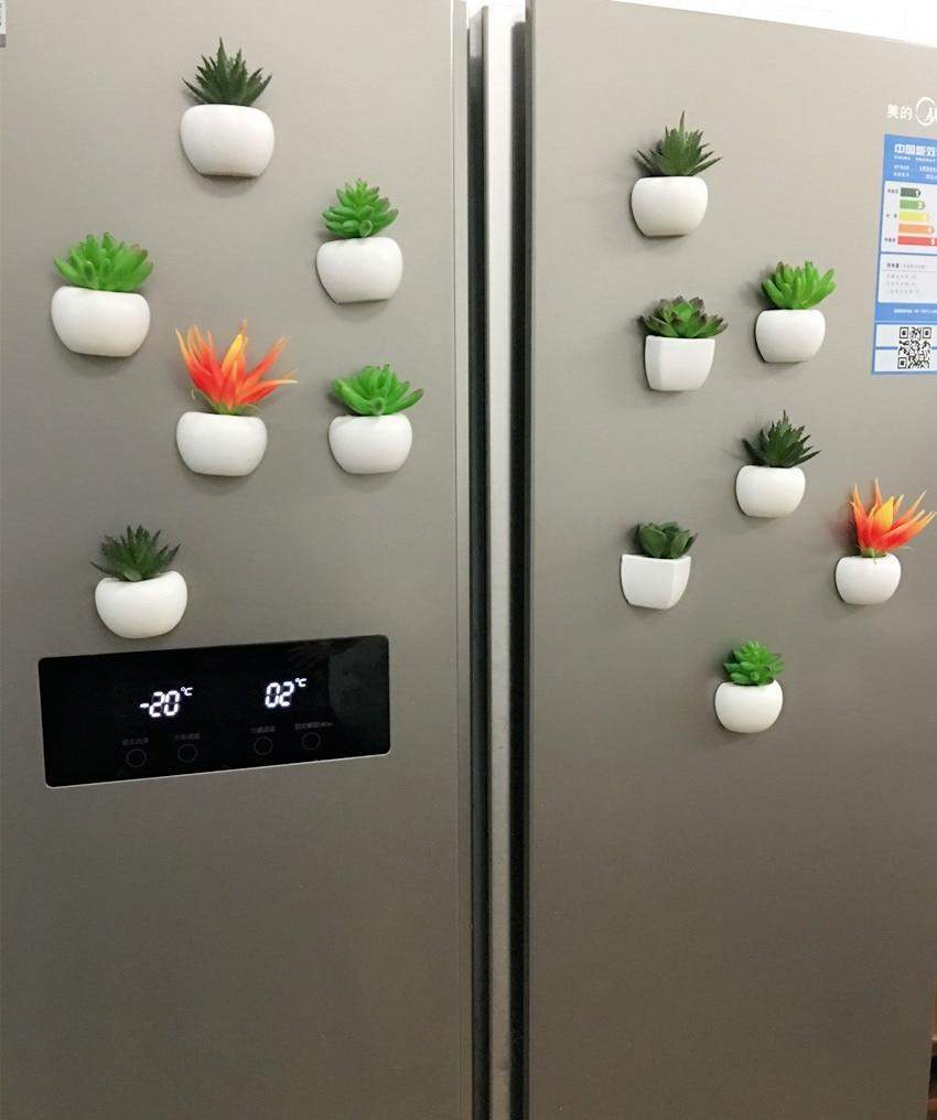 Succulent Plant Fridge Magnet