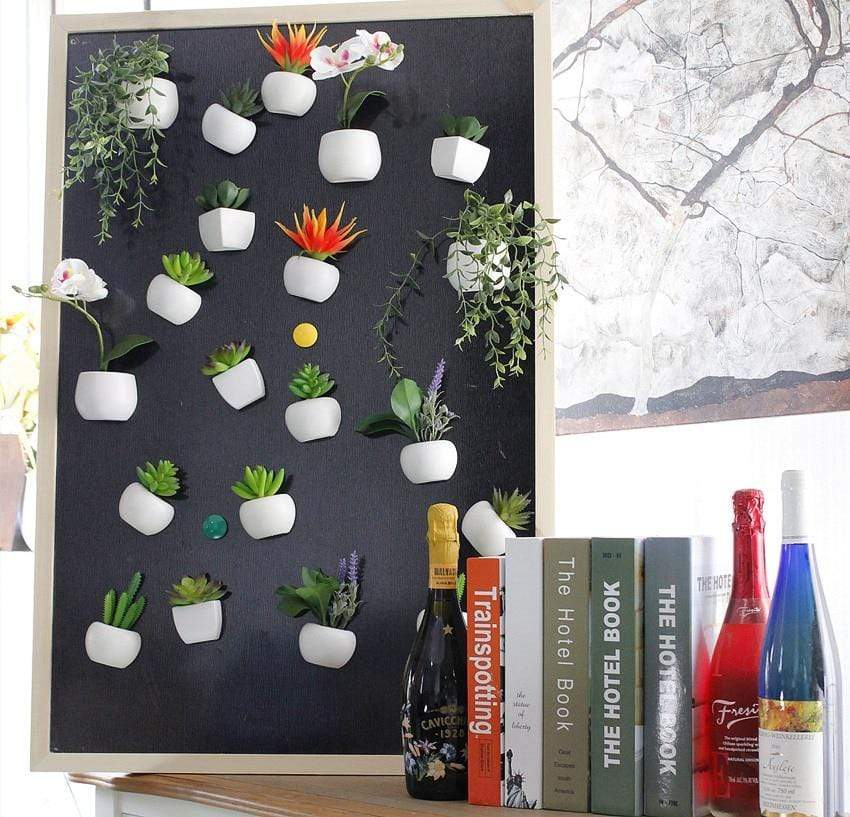 succulent fridge magnets Succulent Plant Fridge Magnet – BAJE HOME