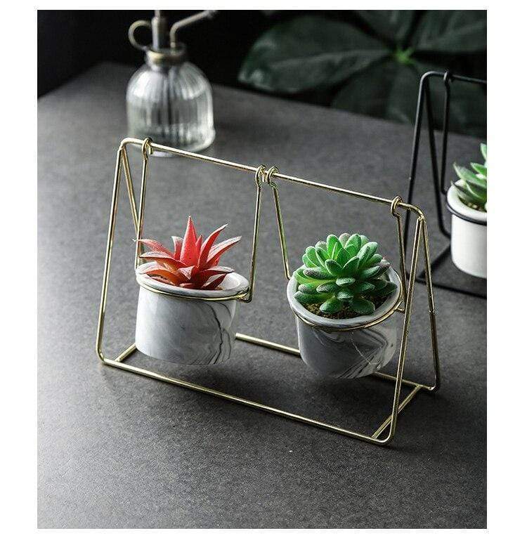 Succulent Swing