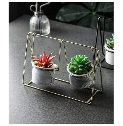 Succulent Swing