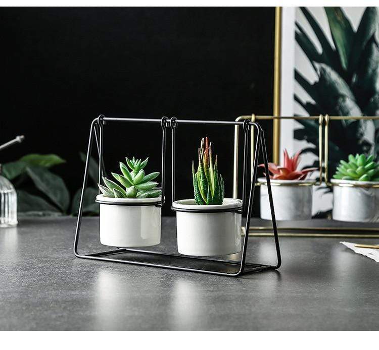 Succulent Swing