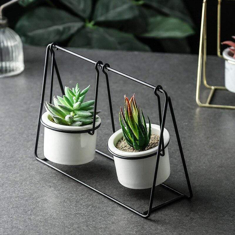 Succulent Swing