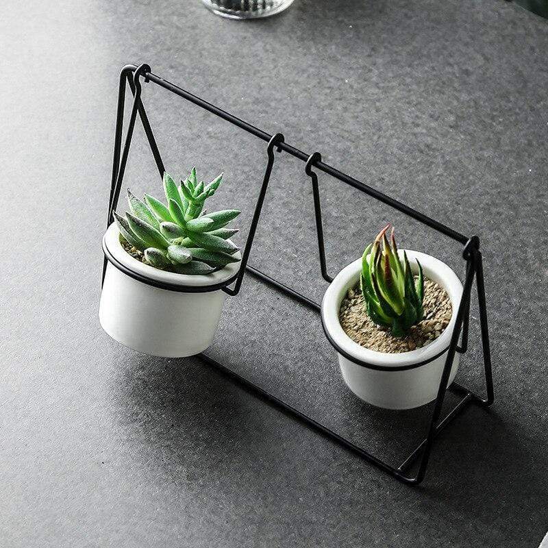 Succulent Swing