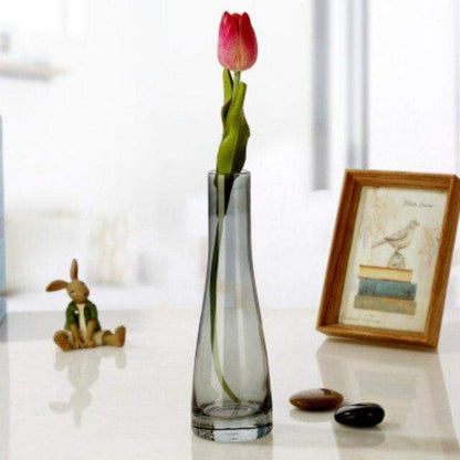 Transparent Glass Vases