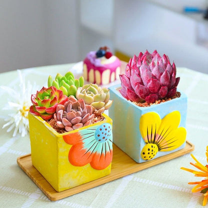 Vintage Hand Painted Succulent Pot