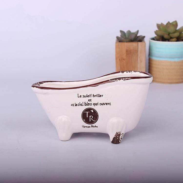 Vintage Succulent Flower Pot