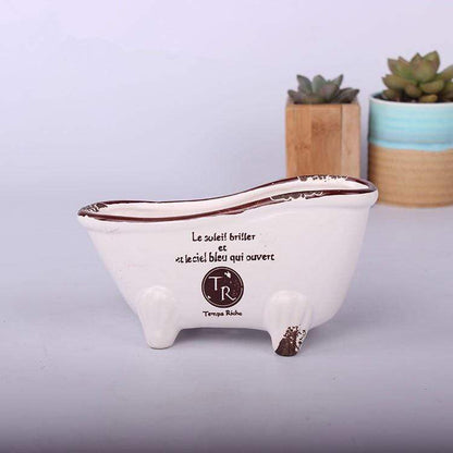 Vintage Succulent Flower Pot