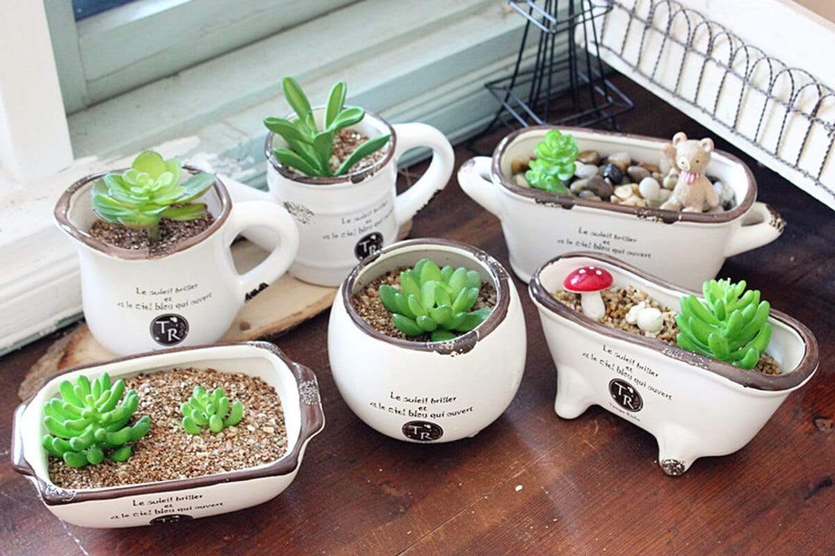 Vintage Succulent Flower Pot