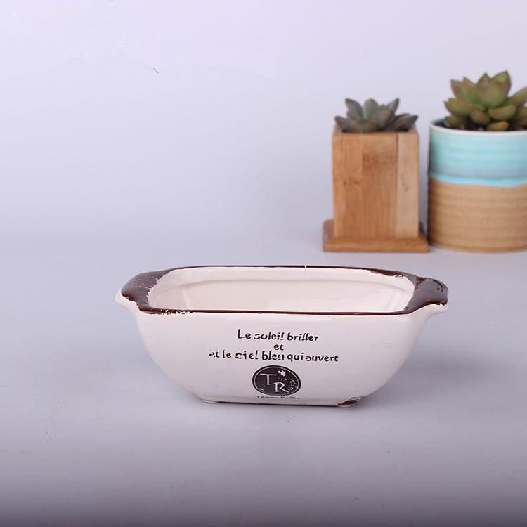 Vintage Succulent Flower Pot