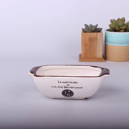 Vintage Succulent Flower Pot