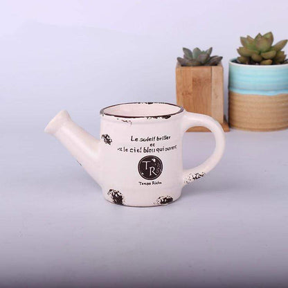 Vintage Succulent Flower Pot