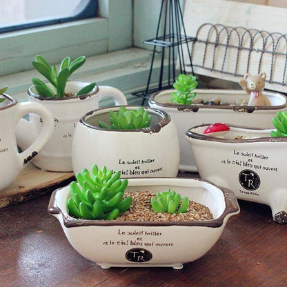 Vintage Succulent Flower Pot