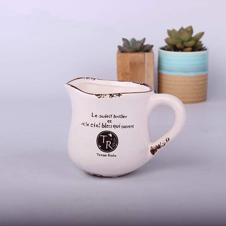 Vintage Succulent Flower Pot