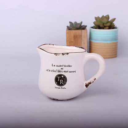 Vintage Succulent Flower Pot