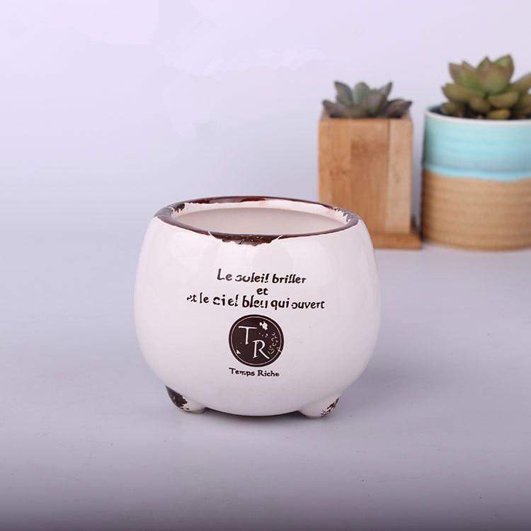 Vintage Succulent Flower Pot