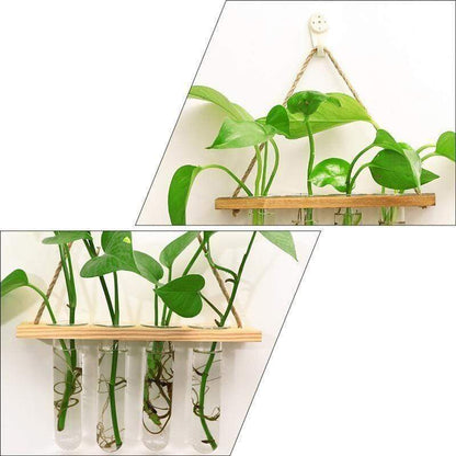 Wall-Mounted Hydroponic Tube Vases