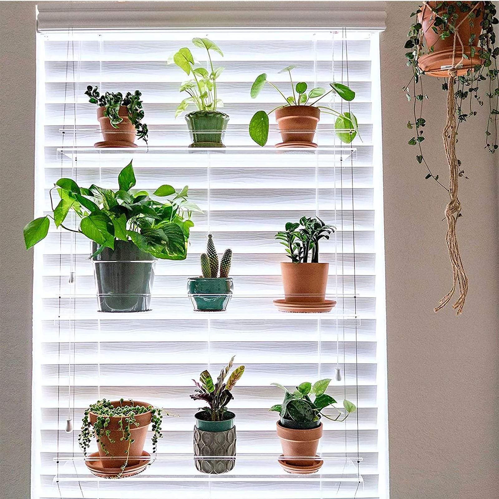 Window Plant Shelf