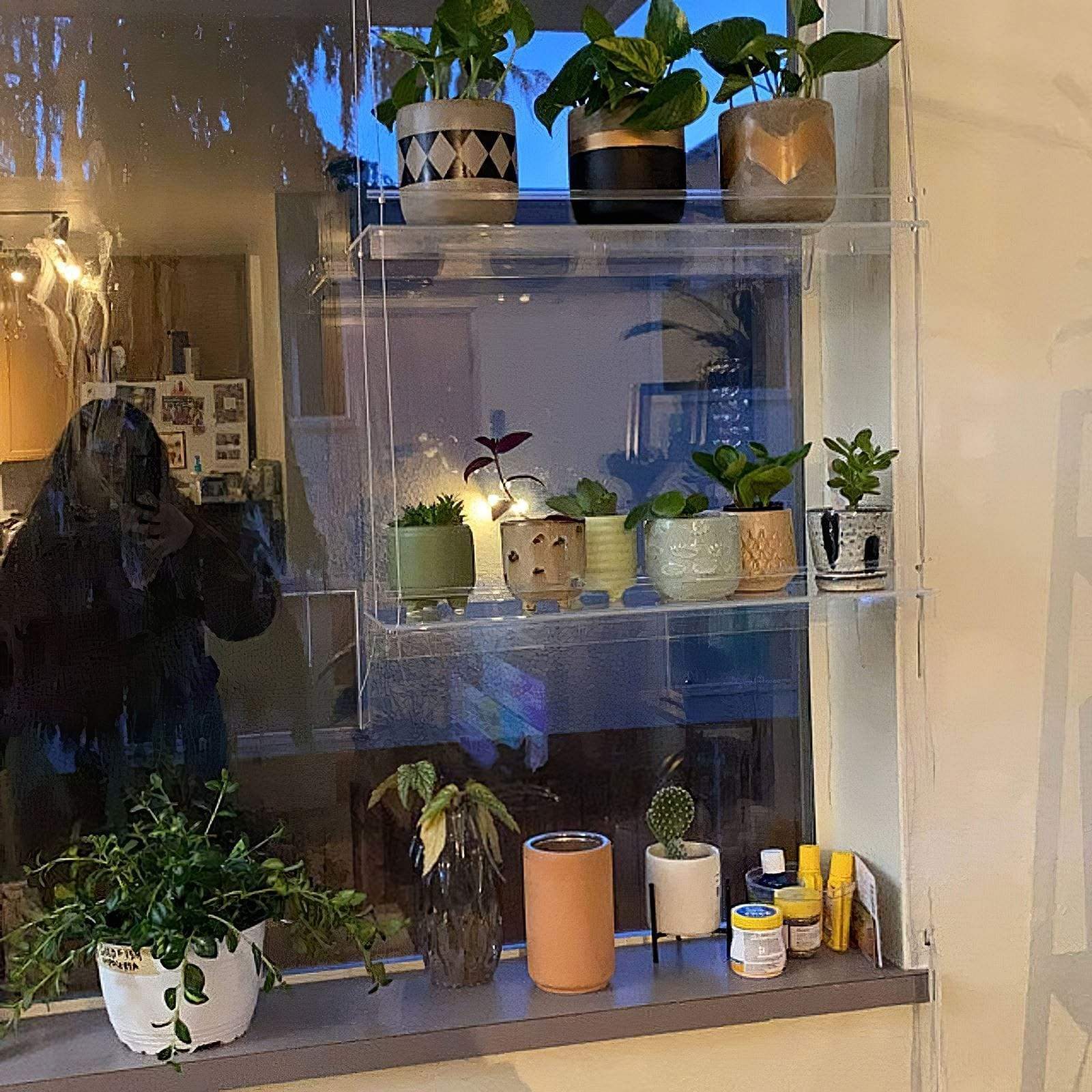 Window Plant Shelf