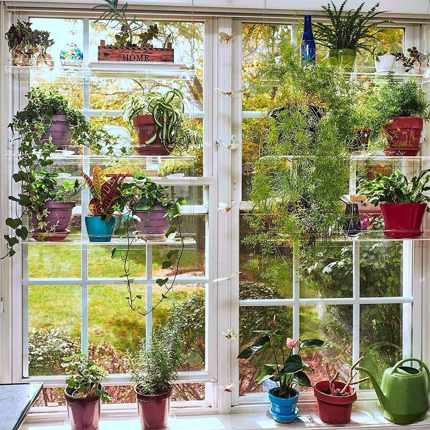 Window Plant Shelf