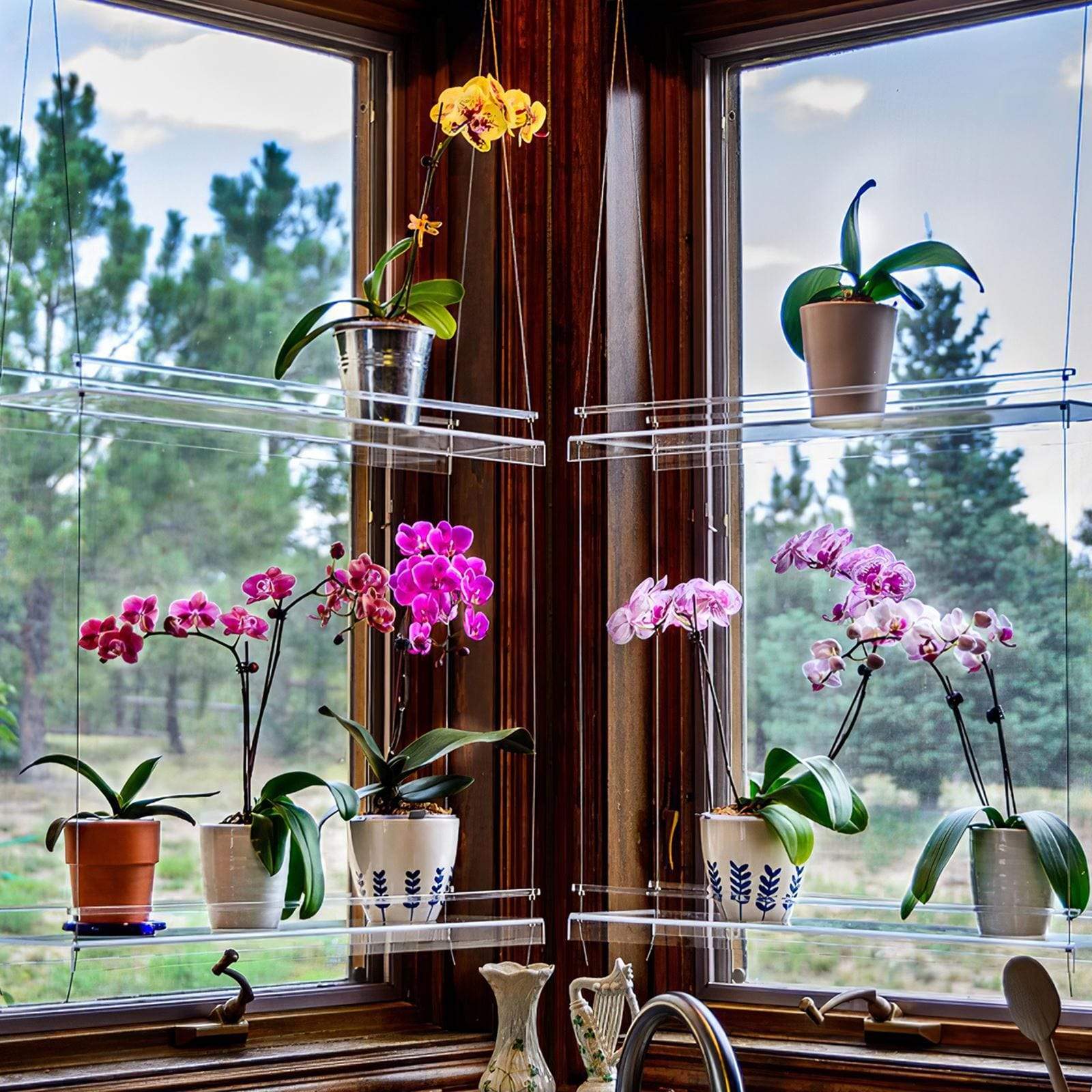hanging shelves for plants in window Window Plant Shelf – BAJE HOME