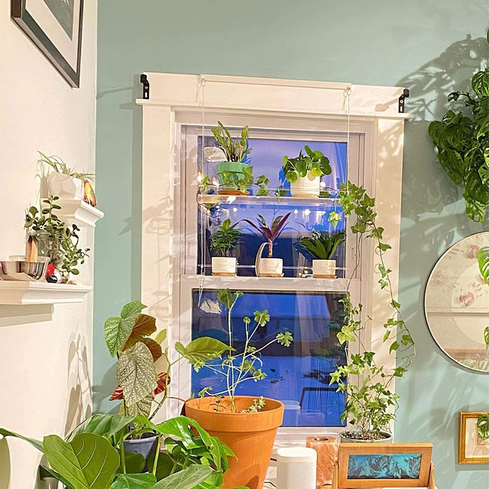 window hanging shelf for plants Window Plant Shelf – BAJE HOME