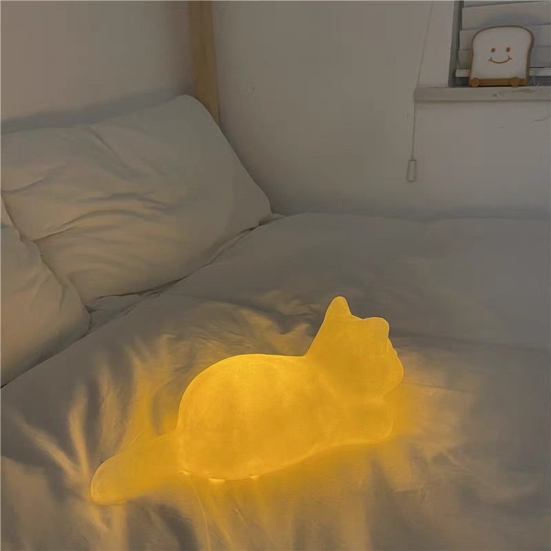 Soft Glow Cat Light cat glow illumination light soft