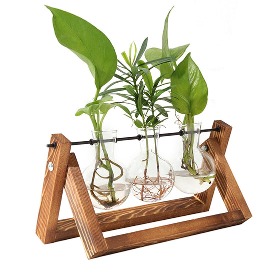 Desktop Glass Bulb Planter __stock:100 Furniture and Décor refund_fee:1200