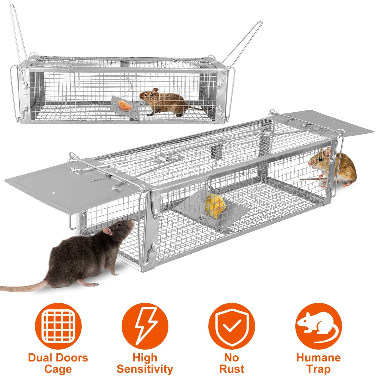 Dual Door Rat Trap Cage Humane with 2 Detachable U Shape Rod __stock:100 Low stock Pest Control refund_fee:1200 Warranty