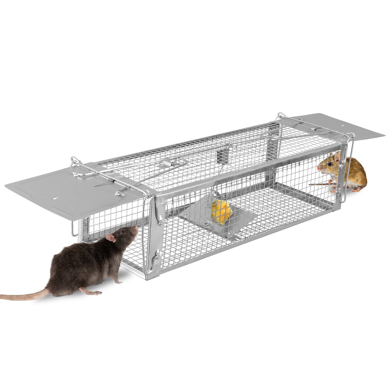 Dual Door Rat Trap Cage Humane with 2 Detachable U Shape Rod __stock:100 Low stock Pest Control refund_fee:1200 Warranty