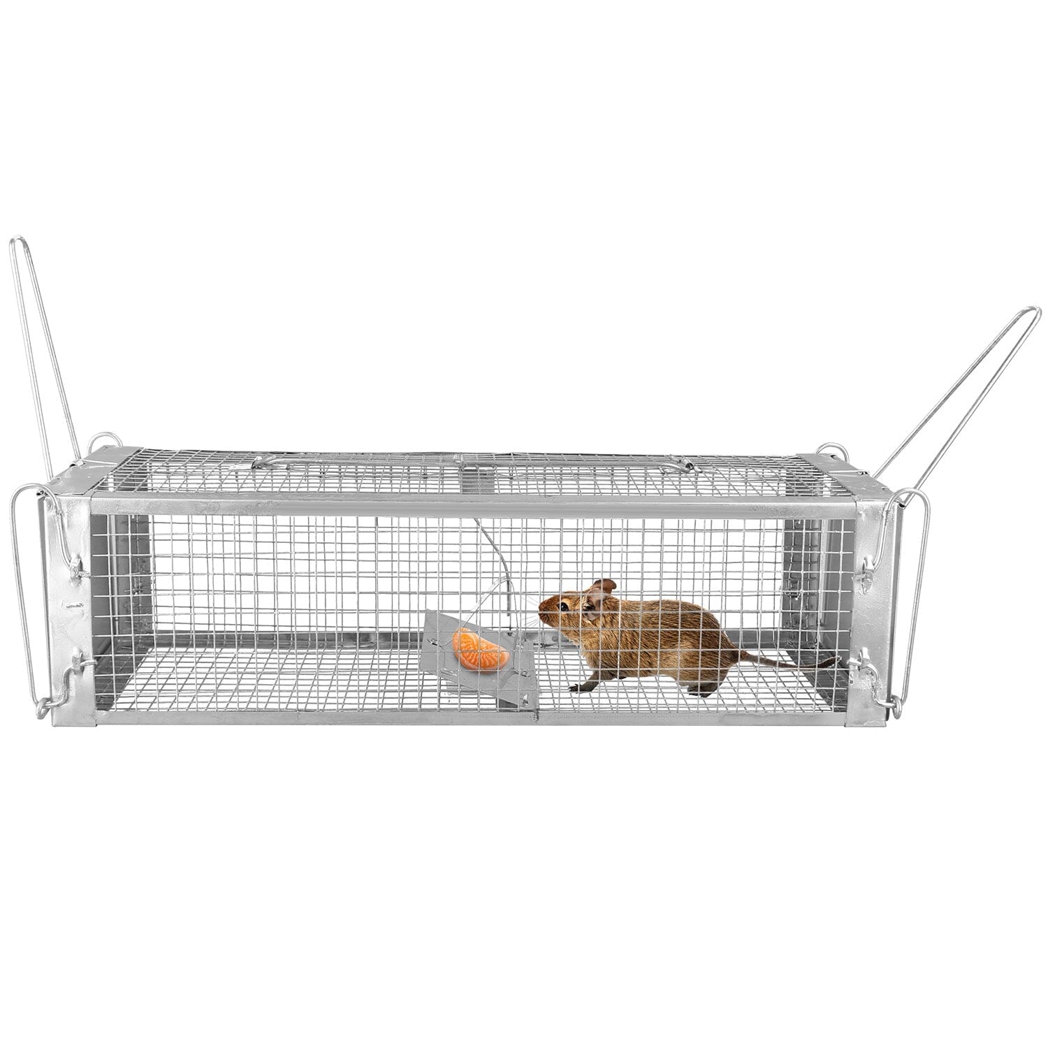 Dual Door Rat Trap Cage Humane with 2 Detachable U Shape Rod __stock:100 Low stock Pest Control refund_fee:1200 Warranty