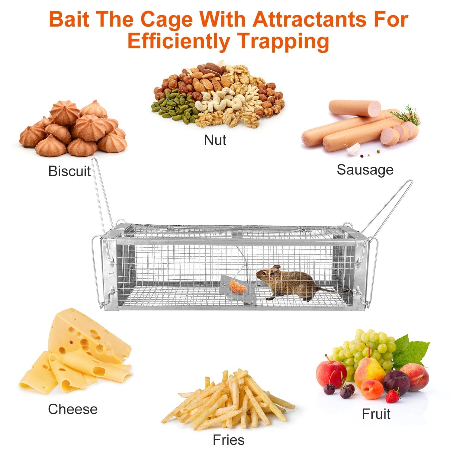 Dual Door Rat Trap Cage Humane with 2 Detachable U Shape Rod __stock:100 Low stock Pest Control refund_fee:1200 Warranty