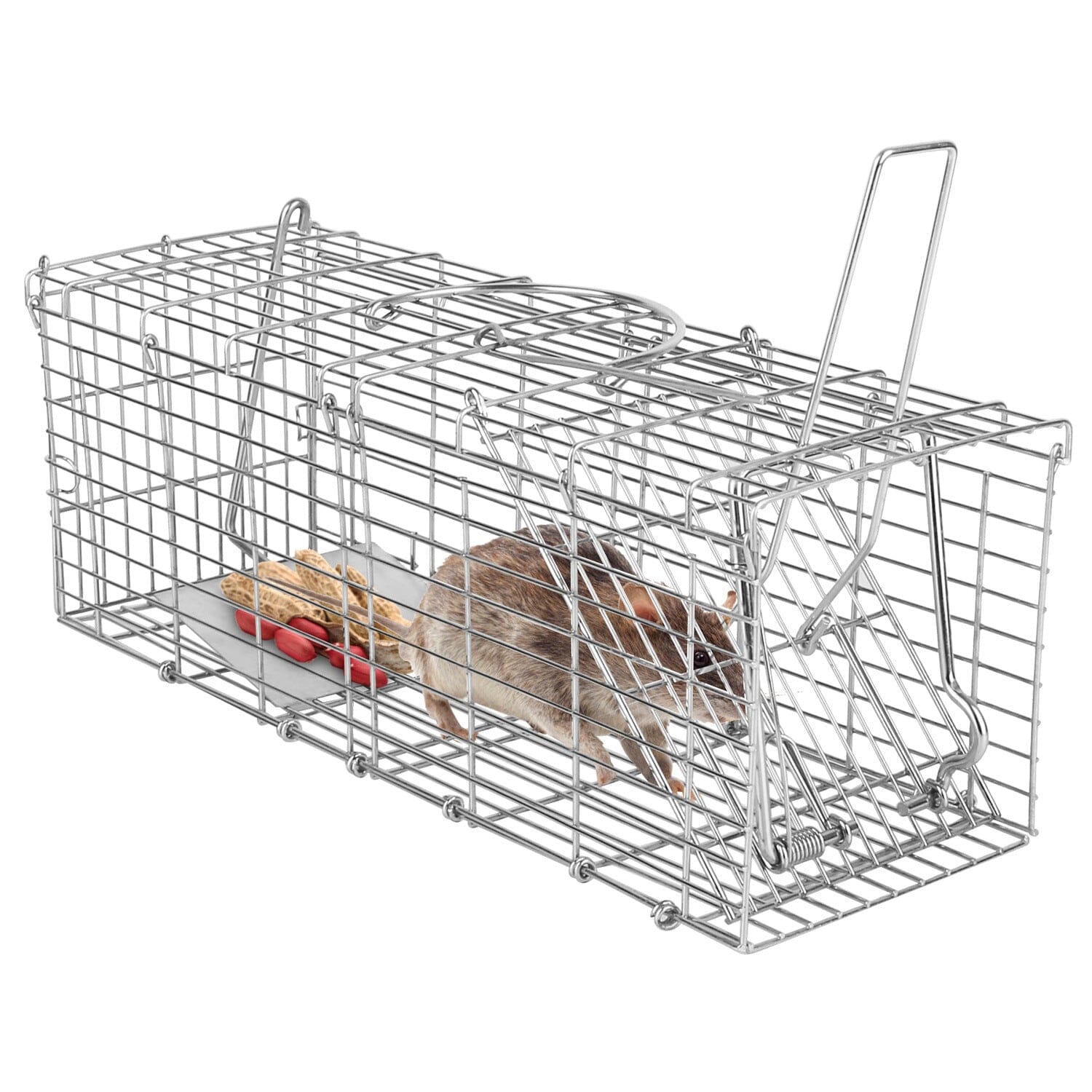 Foldable Rat Trap Cage Humane Live Rodent Trap Cage __stock:50 Low stock Pest Control refund_fee:1200 Warranty