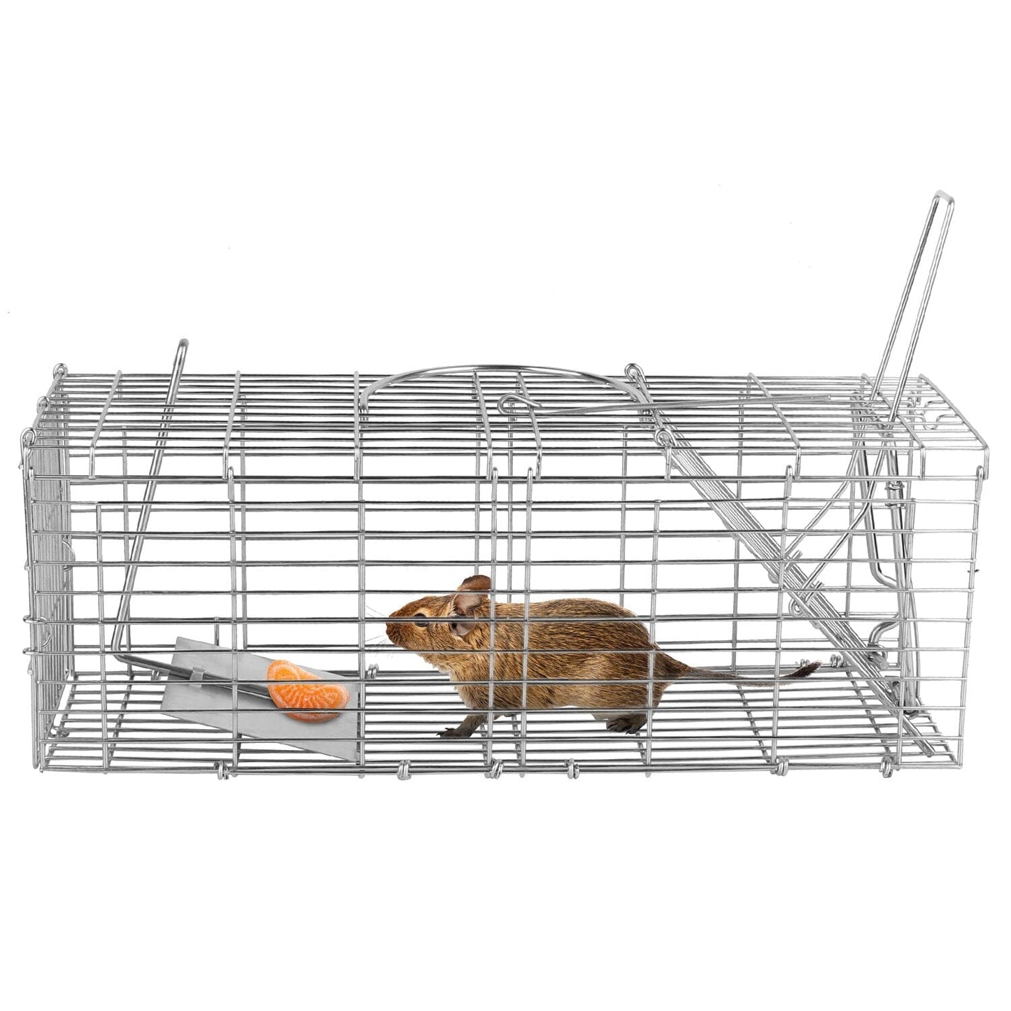 Foldable Rat Trap Cage Humane Live Rodent Trap Cage __stock:50 Low stock Pest Control refund_fee:1200 Warranty