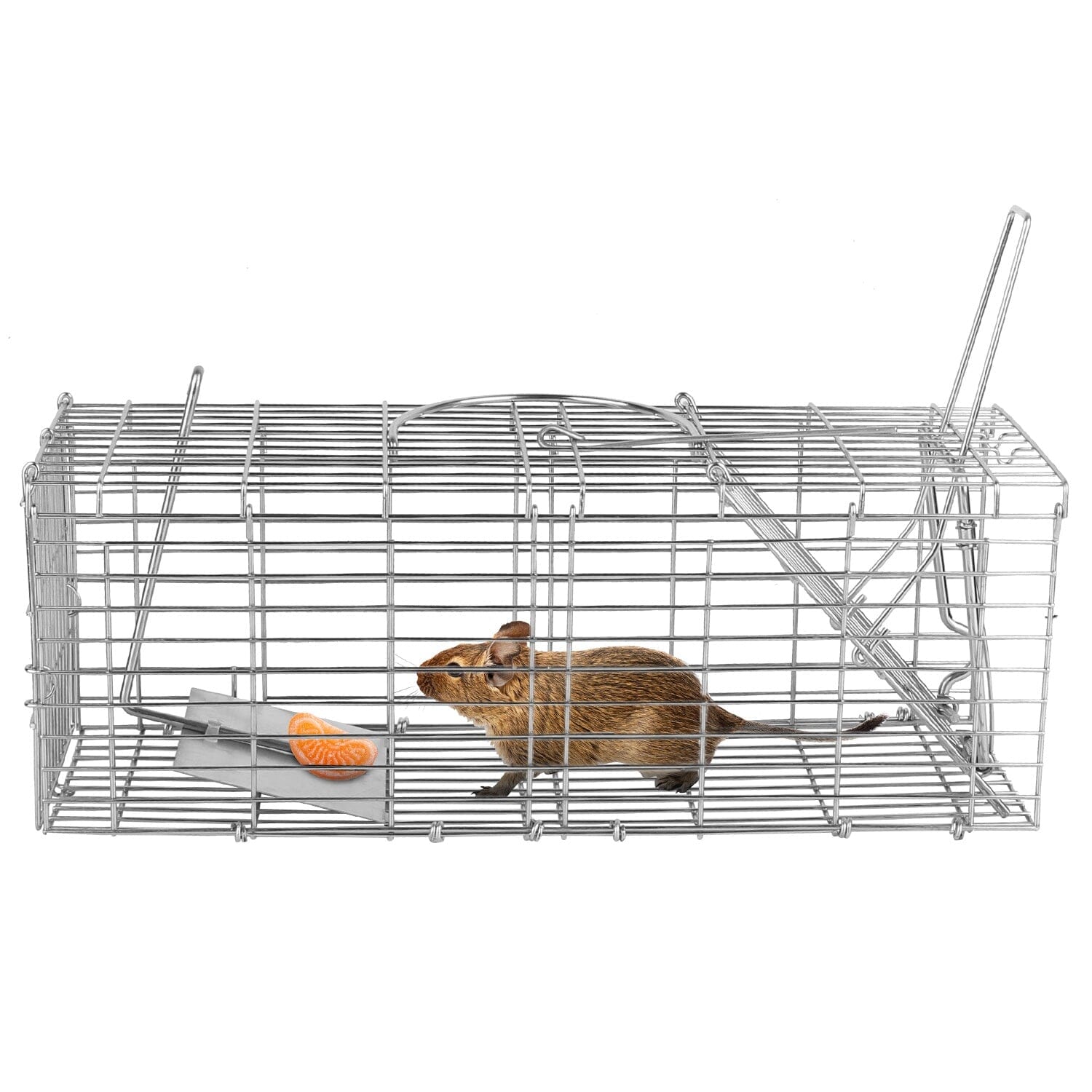 Foldable Rat Trap Cage Humane Live Rodent Trap Cage __stock:50 Low stock Pest Control refund_fee:1200 Warranty