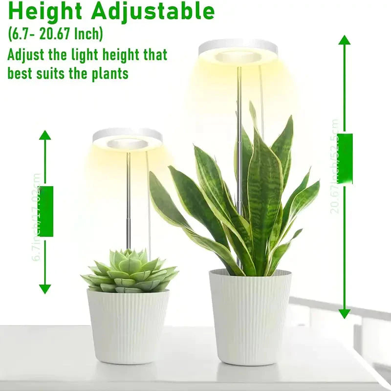 Full Spectrum LED Halo Plant Light With Stand Height Adjustable Auto Timer __stock:200 Garden & Patio refund_fee:800 Warranty