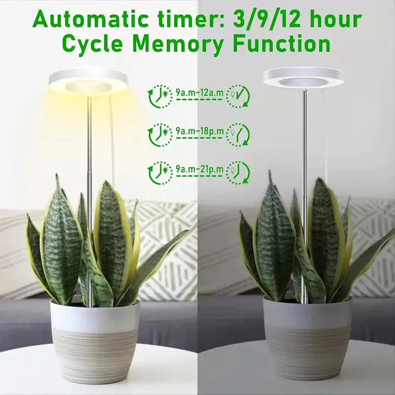 Full Spectrum LED Halo Plant Light With Stand Height Adjustable Auto Timer __stock:200 Garden & Patio refund_fee:800 Warranty